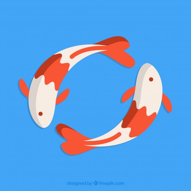 626x626 Koi Vectors, Photos And Free Download