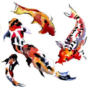 300x300 Pat Weaver Colors Of Koi With Watercolors