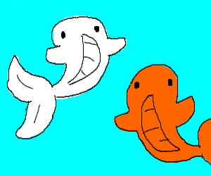 300x250 Two Koi Fish Circle Each Other In A Pond