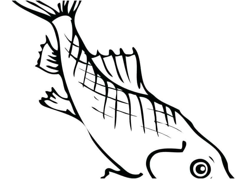 827x609 Coloring Pages For Kids Fall Girls Adults Animals Footage Carp