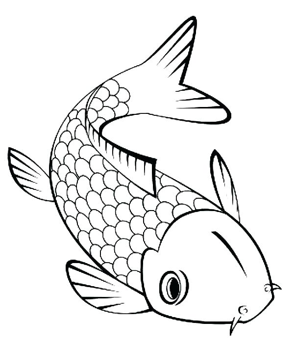 600x707 fish outline unique fish outline drawing luxury koi fish outline