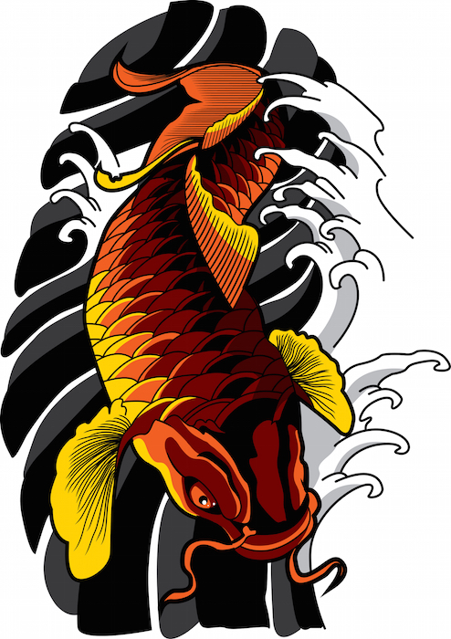494x700 Koi Fish Tattoo Meaning