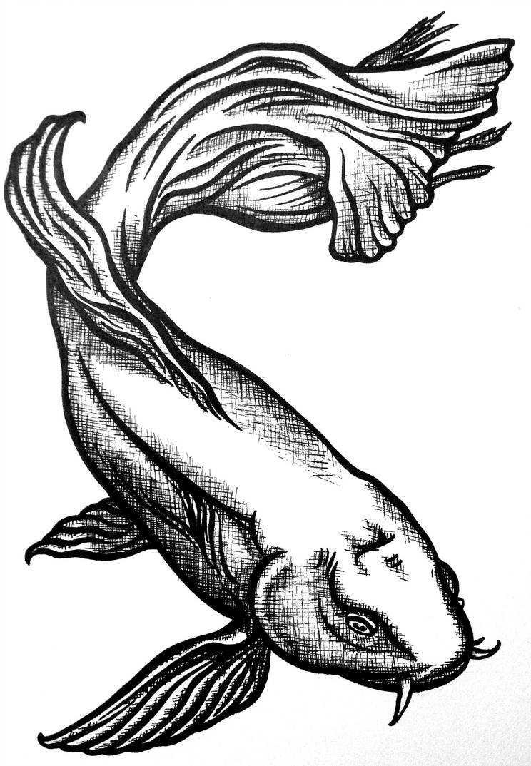 744x1074 Koi Fish Tattoo