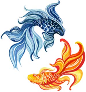 298x320 Traditional Japanese Koi Fish Tattoo Style Drawing