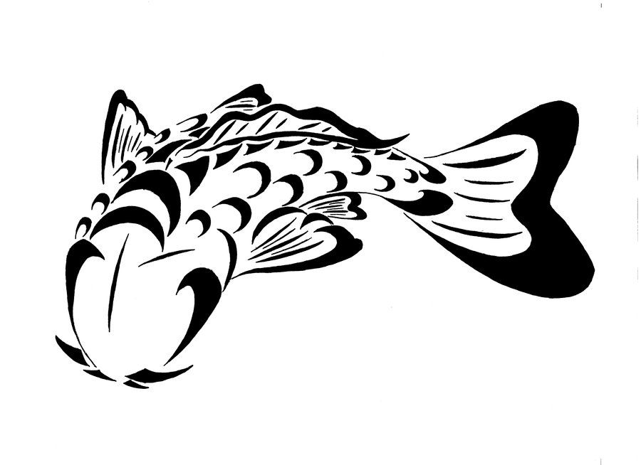 900x654 Carp Drawing Free Download