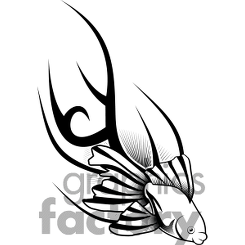 800x800 Fish Tattoos