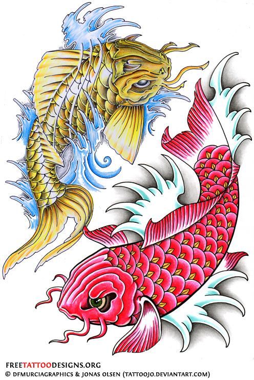 496x740 Koi Fish Tattoo Designs Koi Fish Tattoo Design
