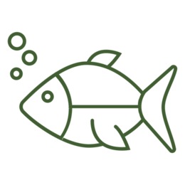 260x260 Fish, Drawing, Water, Transparent Png Image Clipart Free Download