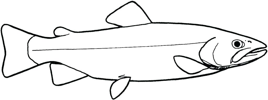 1024x385 Fish Drawing Step