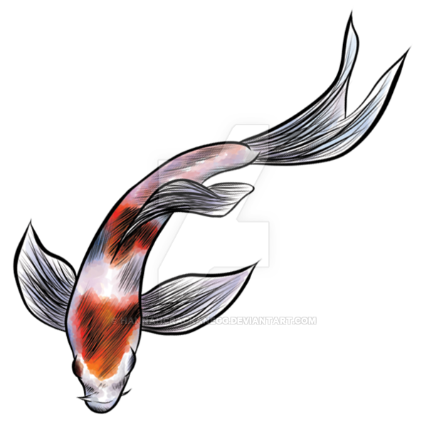 600x600 Drawing Avatars Koi Fish Transparent Png Clipart Free Download