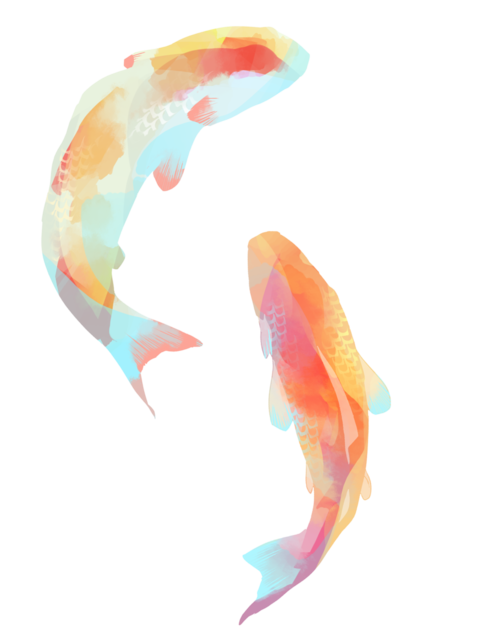 500x643 Huge Collection Of 'koi Fish Drawing Tumblr' Download More Than