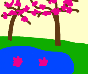 300x250 Koi Pond With Cherry Blossoms