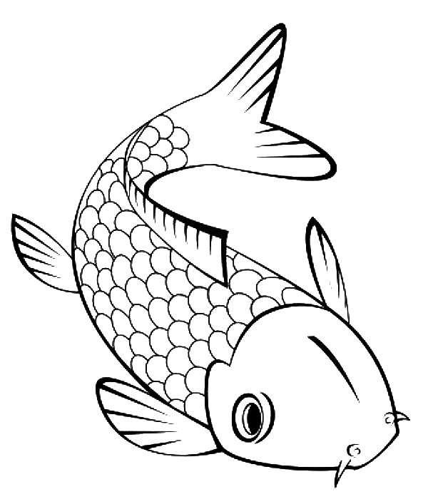 600x707 Lovely Pond Fish Coloring Pages