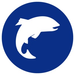 260x260 Drawing, Fish, Product, Transparent Png Image Clipart Free Download