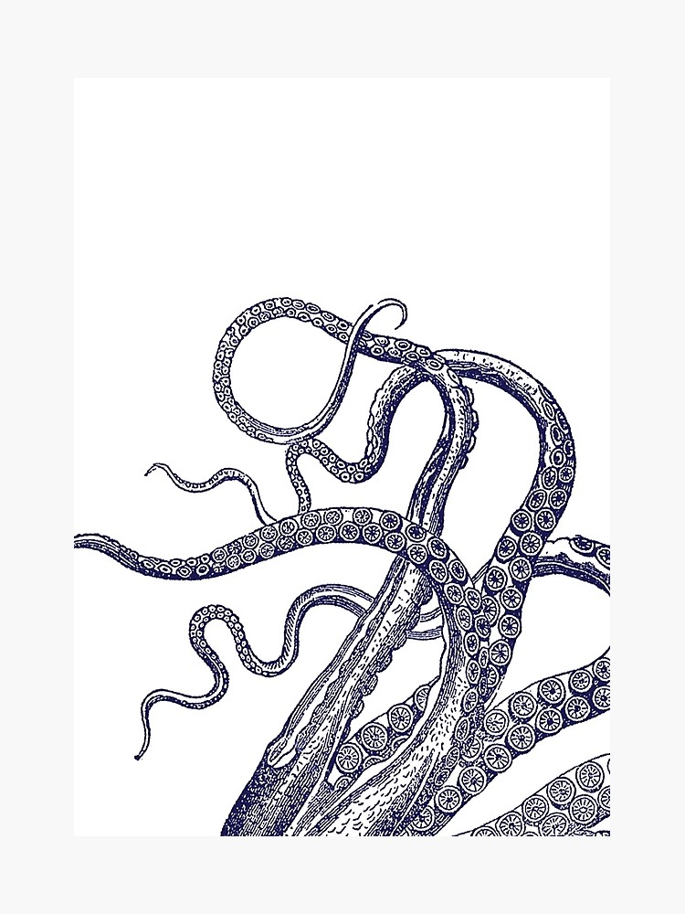 750x1000 octopus tentacles squid kraken nautical photographic print
