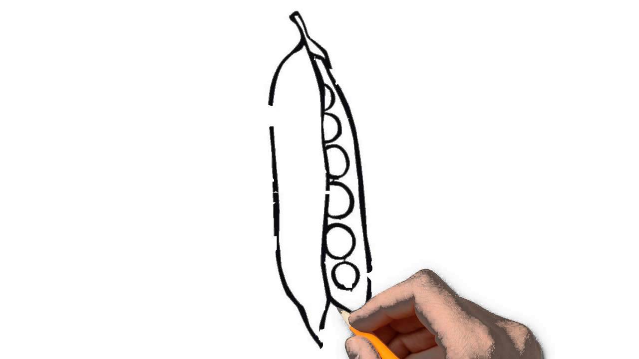 1280x720 Vegetables The Nature Of A Pencil To Draw Step