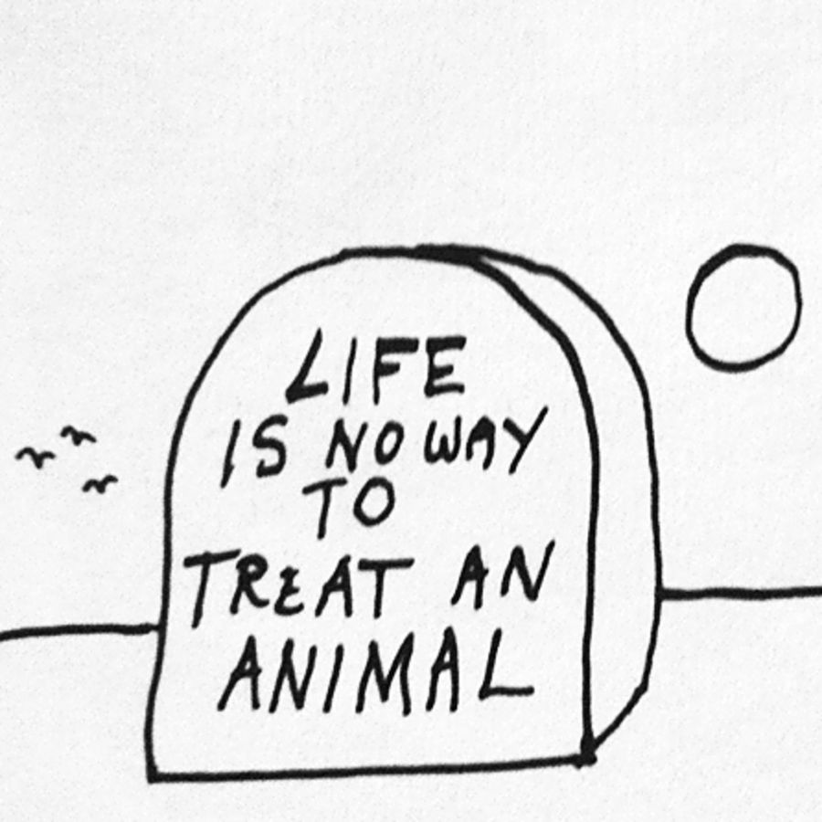 900x900 catapult community god bless you, mr trout