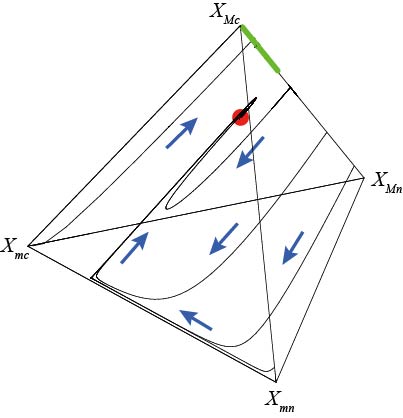 403x418 Welcome To Atsushi Yamauchi's Hp