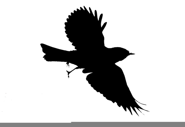 600x410 Huge Collection Of 'mockingbird Clipart' Download More Than