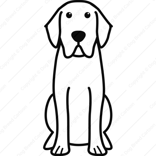 600x600 Collection Of Free Lab Drawing Dog Download On Ui Ex
