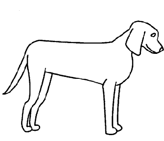 335x288 How To Draw Dogs