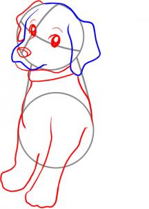 216x302 How To Draw A Lab, Step