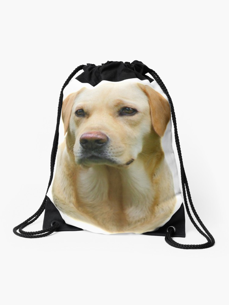 750x1000 t shirt hangover ii yellow lab dog the real one zach