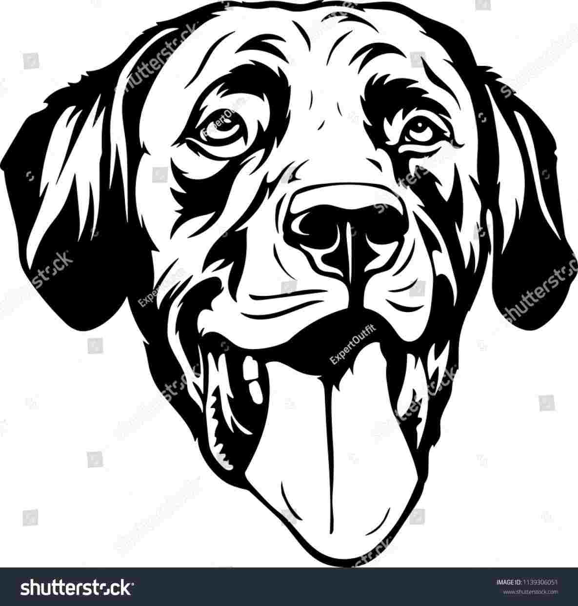 1185x1243 Color Drawing Face Lab Dog Designs