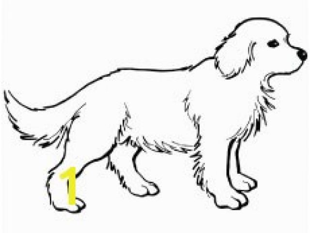 640x480 Breeds Of Dogs Coloring Pages Luxury Yellow Lab Puppy Coloring