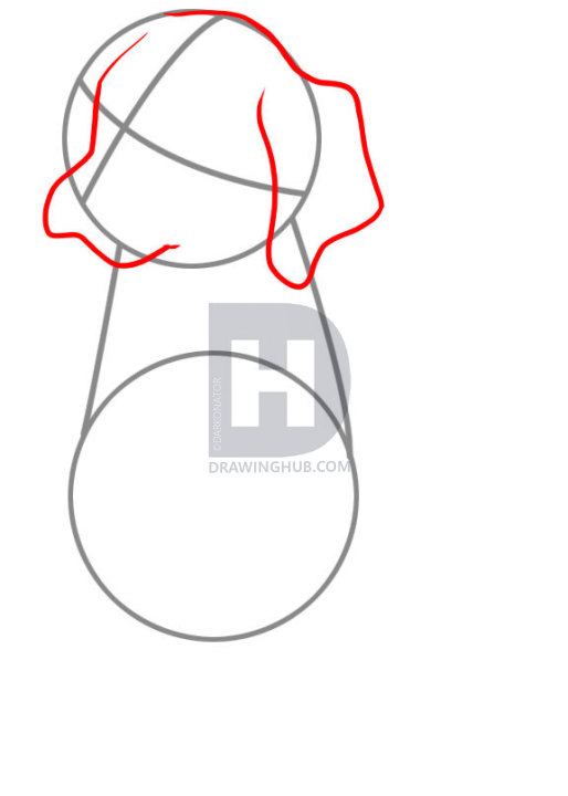 514x720 How To Draw A Lab, Step