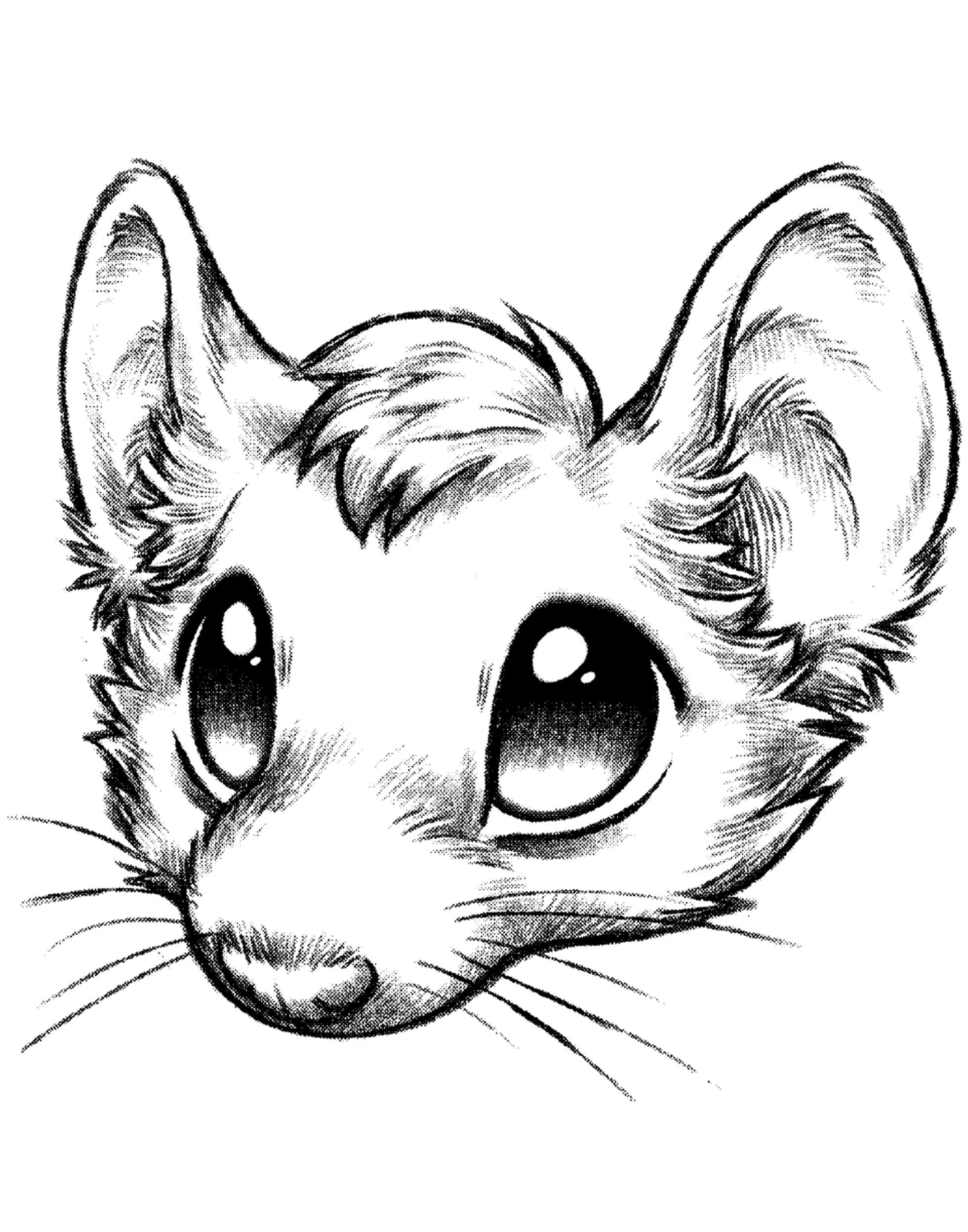 1960x2495 Collection Of Free Mouse Drawing Mammals Download On Ui Ex