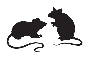366x240 Lab Mouse Sketch Photos, Royalty Free Images, Graphics, Vectors