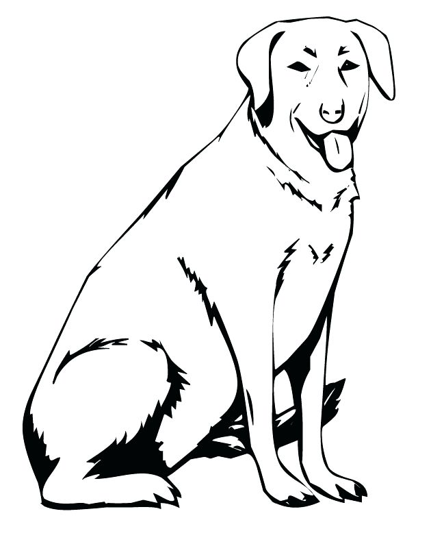 630x810 yellow lab coloring pages yellow lab coloring pages lab coloring