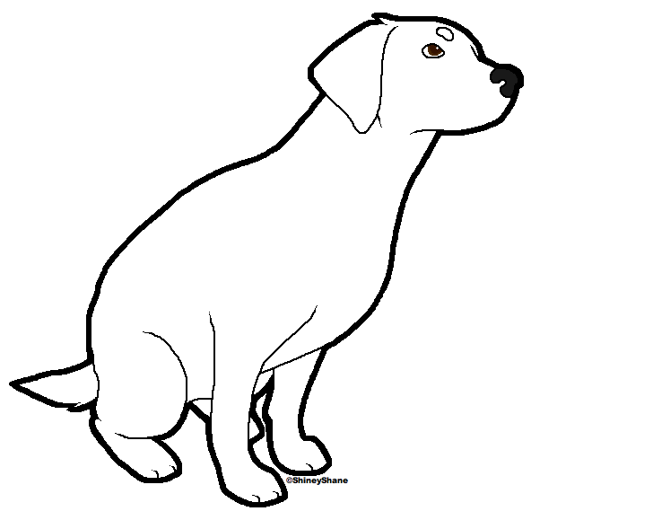 728x579 yellow lab puppy coloring pages coloring pages, yellow lab