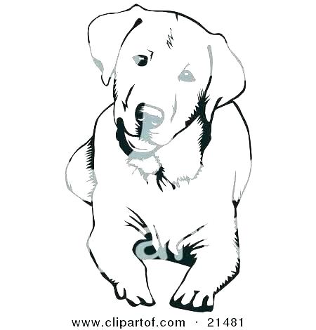 450x470 Yellow Lab Coloring Pages