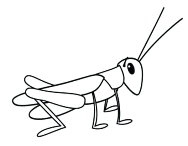 600x465 grasshopper drawing drawing hopper the grasshopper a bugs life