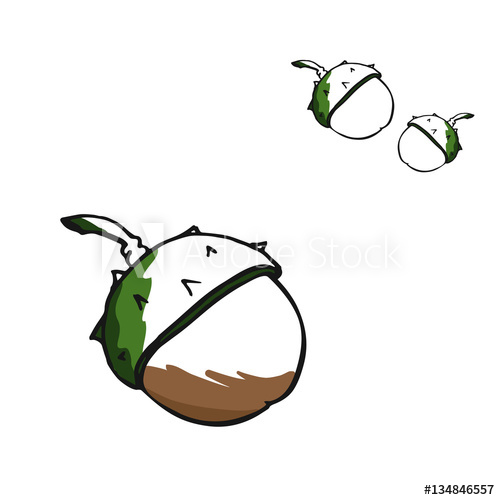 500x500 vector chestnut nuts drawing set autumn elements hand drawn