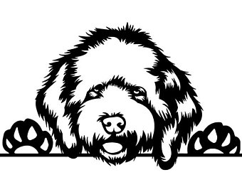 340x270 Cockapoo Drawing Etsy