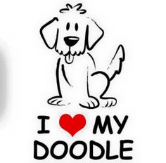 236x232 Best Labradoodle Images Animal Drawings, Animal Pictures