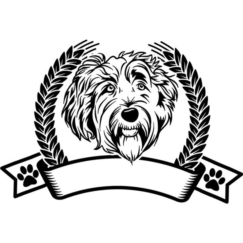 794x794 labradoodle dog smiling happy breed puppy k pedigree etsy