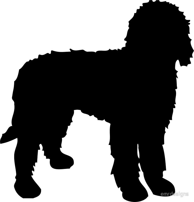 Collection of Labradoodle clipart | Free download best Labradoodle