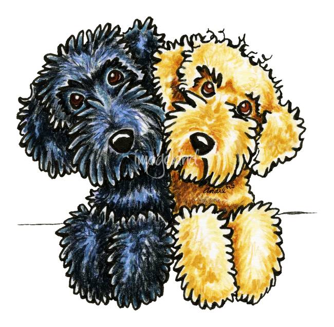650x636 Stunning Labradoodle Artwork For Sale On Fine Art Prints