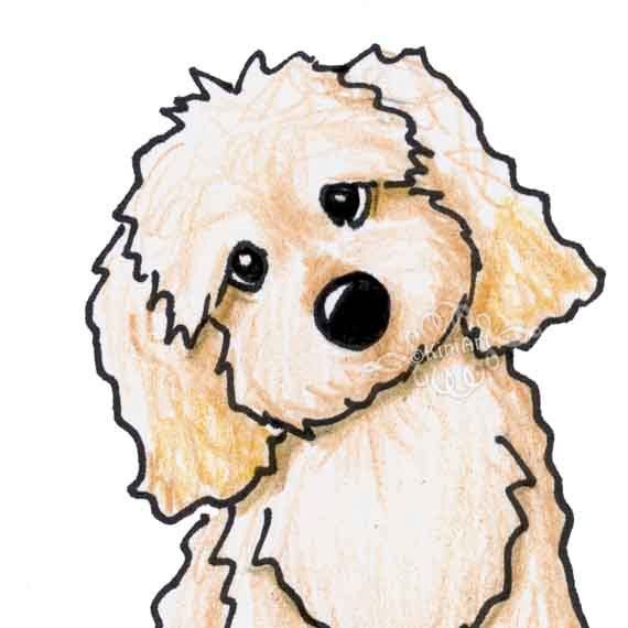 570x570 Cavapoo Original Dog Art Illustration Aceo
