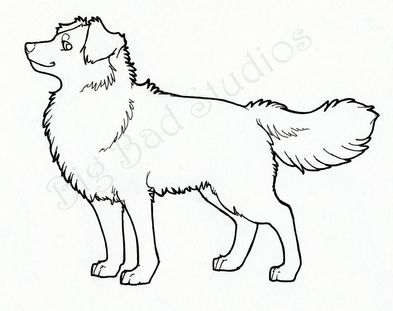 Labrador Dog Drawing