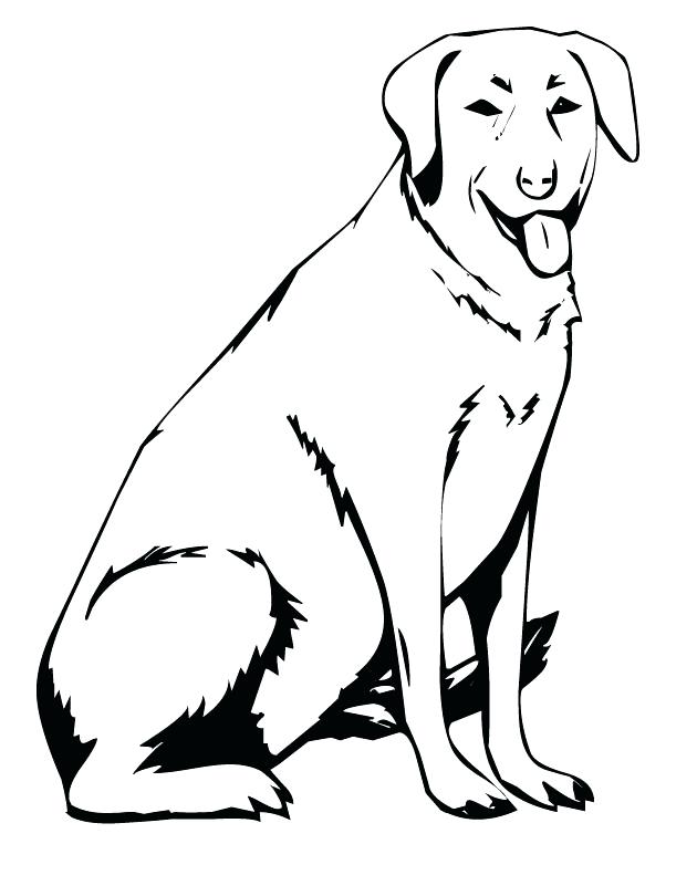 630x810 Dog Coloring Pages Dog Coloring Pages Labrador Retriever Coloring