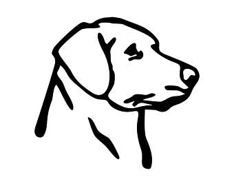 340x270 Labrador Clipart Etsy