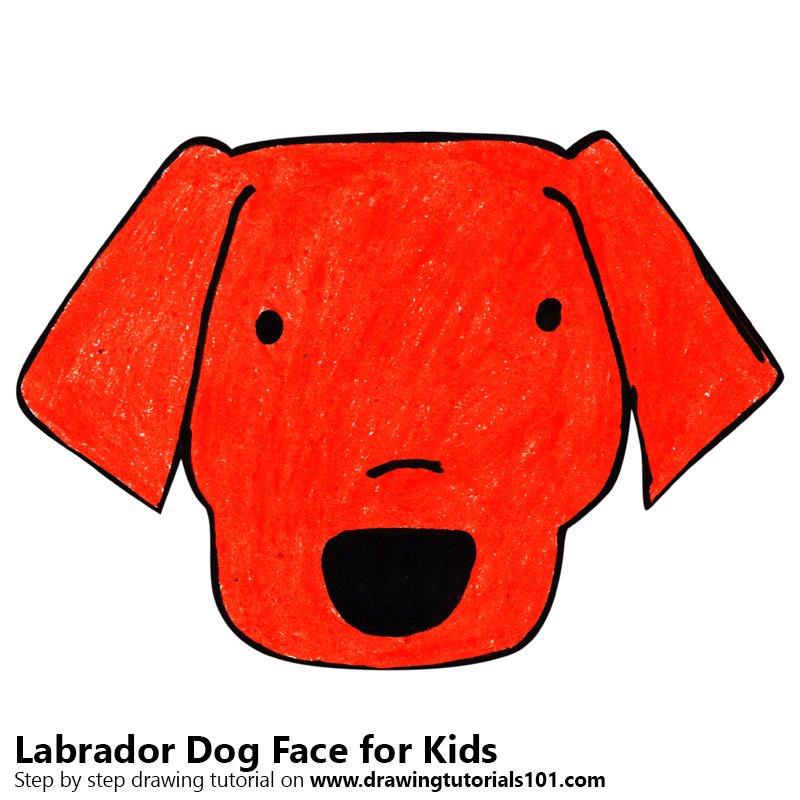 Labrador Dog Drawing | Free download on ClipArtMag