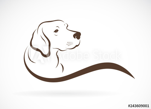 500x360 Vector Of Dog Head