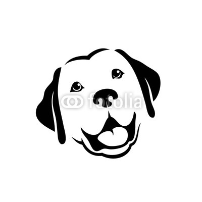 400x400 Labrador Retriever Dog Buy Photos Ap Images Detailview