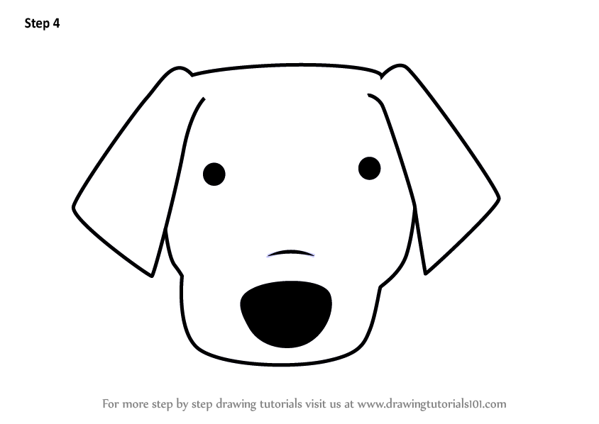 844x598 Learn How To Draw A Labrador Dog Face For Kids